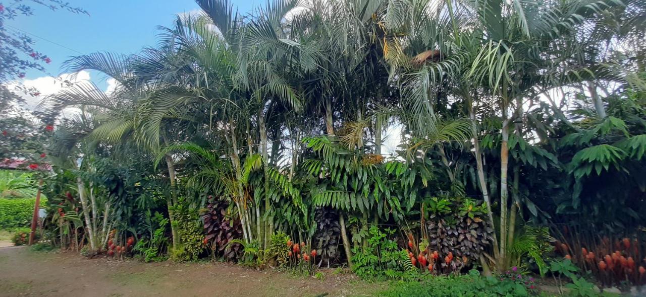 Jardin Entre Montanas Bijagua Exterior foto