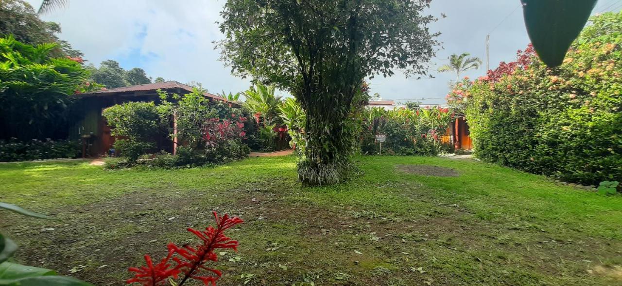 Jardin Entre Montanas Bijagua Exterior foto
