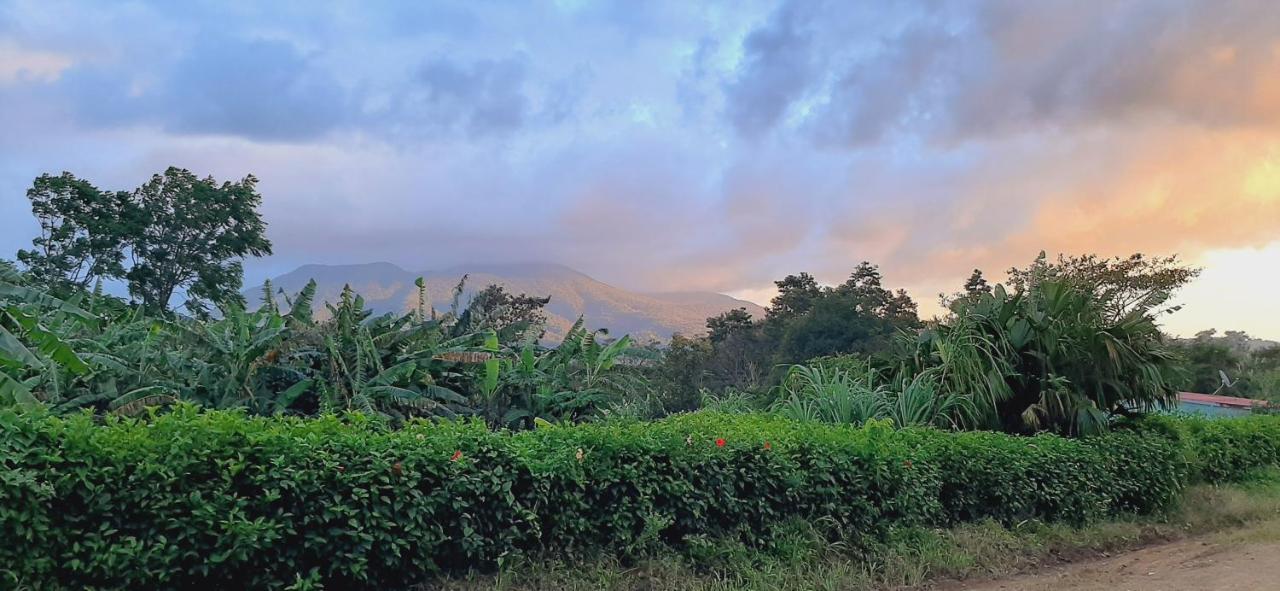 Jardin Entre Montanas Bijagua Exterior foto