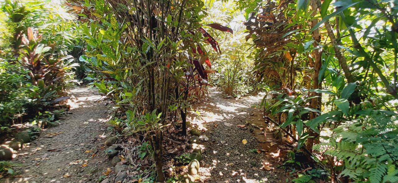 Jardin Entre Montanas Bijagua Exterior foto
