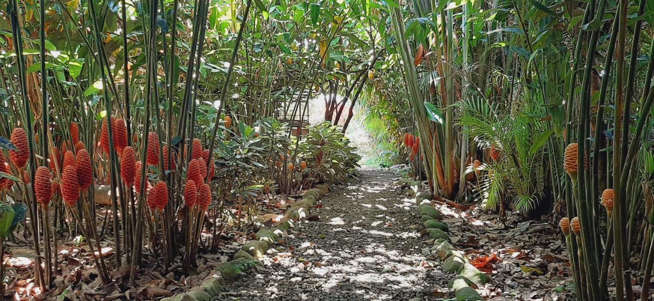 Jardin Entre Montanas Bijagua Exterior foto