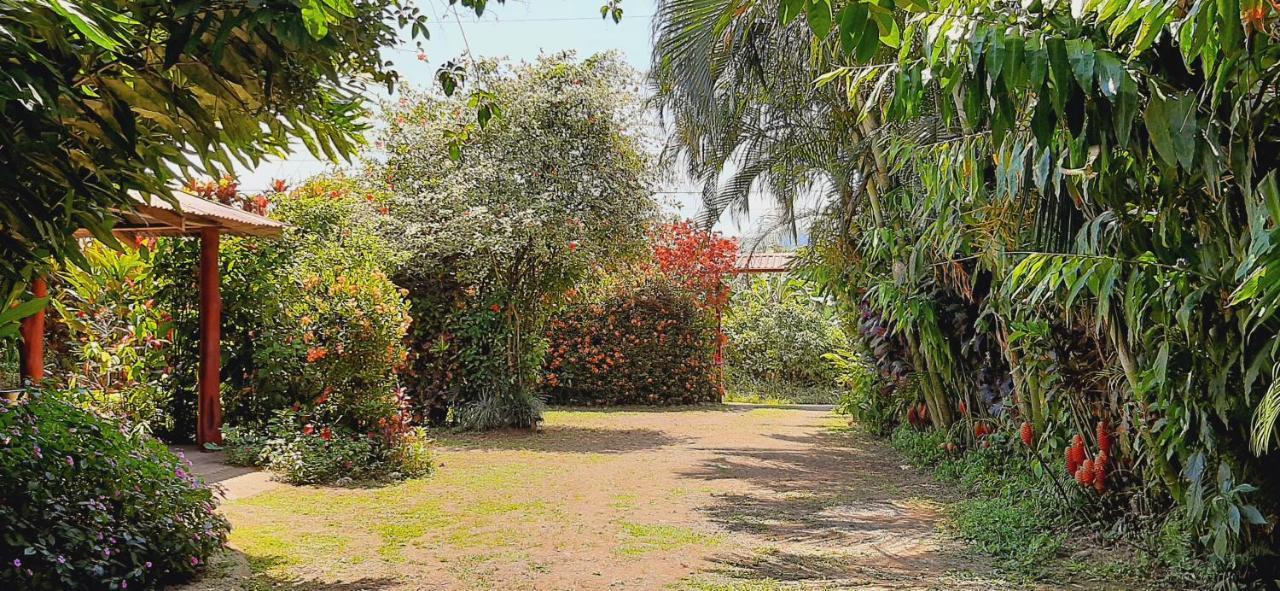 Jardin Entre Montanas Bijagua Exterior foto